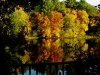 autumn-scene-2