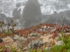 dscn0161