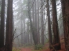 dscn0268