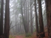 dscn02681