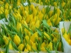 dscn1010